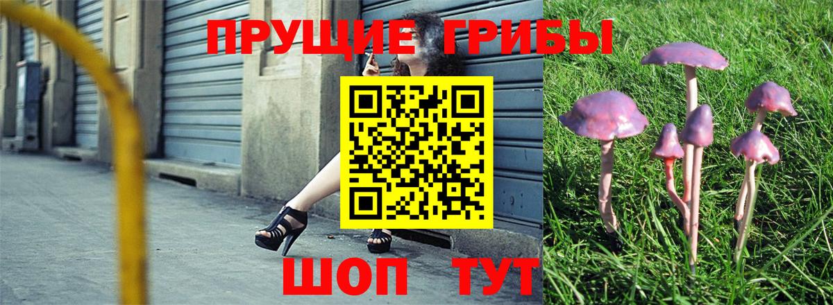 купить наркотик  Вход с VPN  Сердобск  Псилоцибиновые грибы мицелий 
